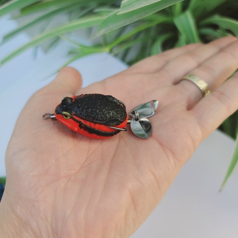 Nhái hơi cóc Tini chuẩn Thái Lan