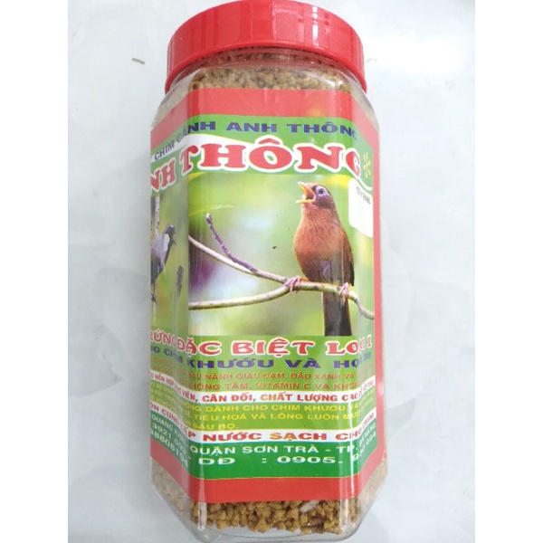 Cám chích chòe, họa mi, chào mào  Anh Thông