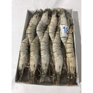 Tôm sú biển tươi cấp đông size 18 con