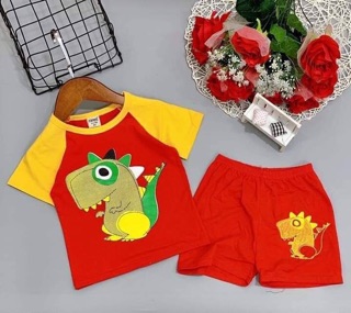 Bộ thun cotton bé trai