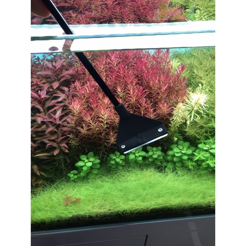 Dao cạo rêu Mufan ( Tặng kèm 10 dao cạo)