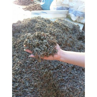 Chè dây SaPa 1kg