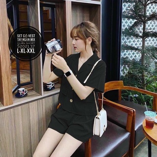 N.T BIGSIZE bộ nút gỗ