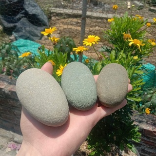 Đá kì tắm tự nhiên tẩy tế bào chết