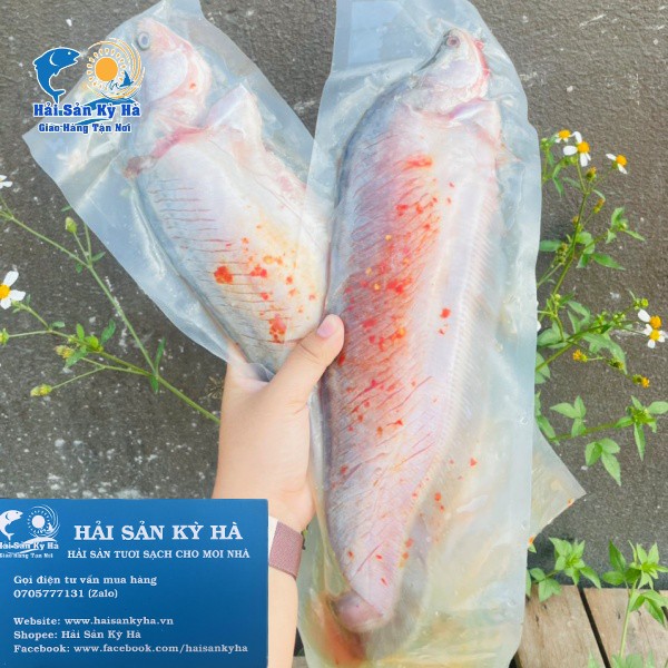 [NowShip] Giá Sỉ 1Kg Cá Thác Lác Rút Xương | BigBuy360 - bigbuy360.vn