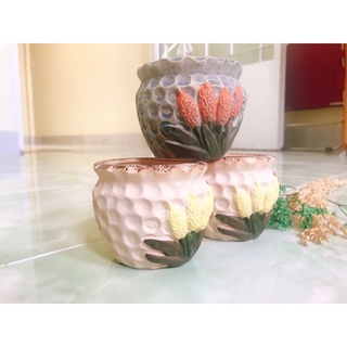 chậu sứ hình trồng sen đá