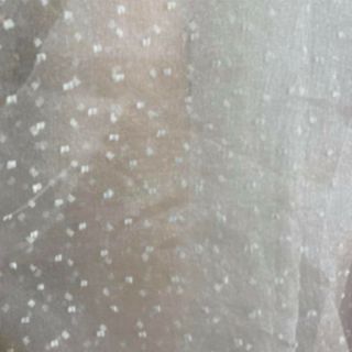 Vải organza hạt 2020