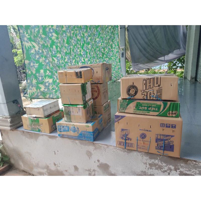 8 gốc măng tây nhỏ có mầm