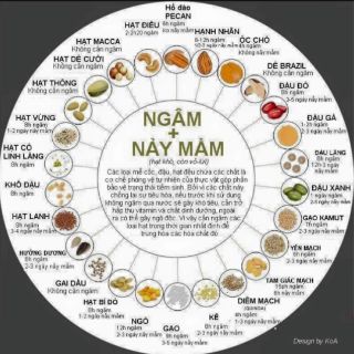 Bột ngũ cốc 5 loại hạt 500g