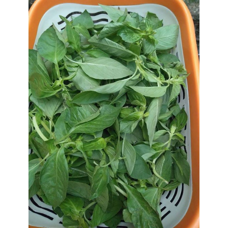 LÁ É TƯƠI ĐẶC SẢN PHÚ YÊN | BigBuy360 - bigbuy360.vn