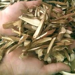 Sâm Cau Đỏ Tây Bắc(Khô)