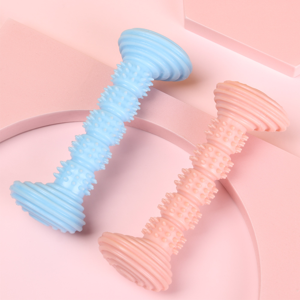 Đồ Chơi Ngậm Cắn Hình Quả Tạ Nhiều Màu Cho Thú Cưng