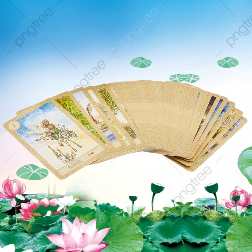 Gumylam GIÁ SIU HẠT DẺ Bộ Bài Tarot Fairy Tale Lenormand (đợt cuối)