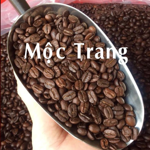 [GIÁ GỐC] 500gr Cà phê Robusta Rang Mộc dạng HẠT/BỘT - Cà phê hạt rang xay mộc pha phin pha máy