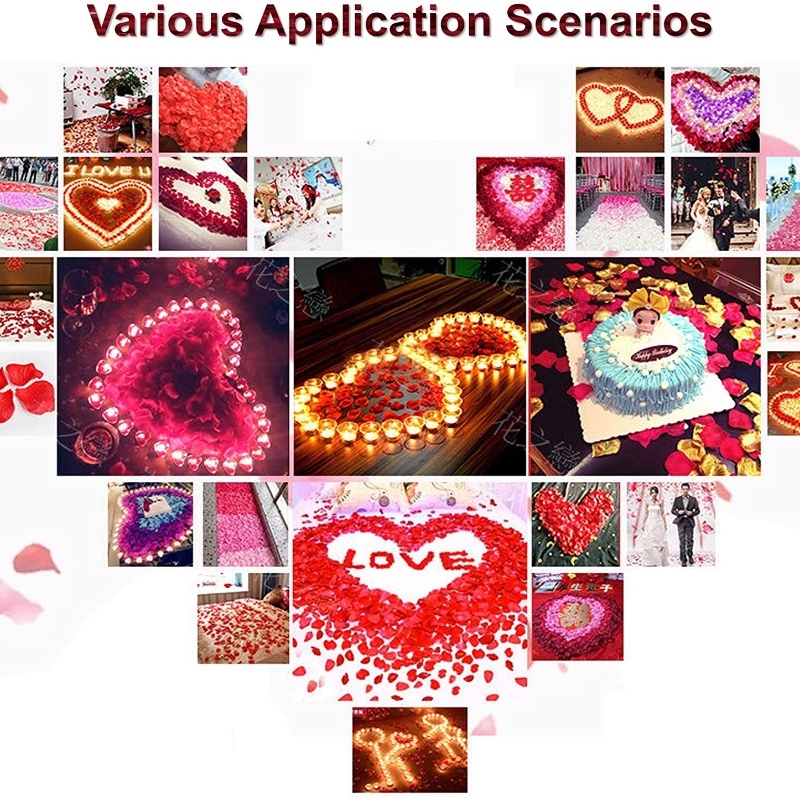 Set 100 Cánh Hoa Hồng Nhiều Màu Sắc Dùng Trang Trí Bữa Tiệc