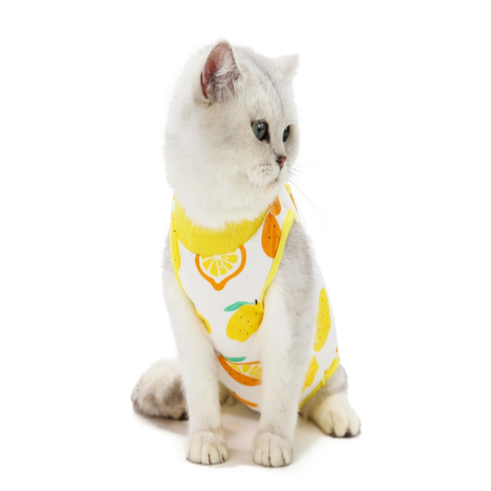 🌸 Áo Sát Nách Cotton Khử Trùng Sau Phẫu Thuật Cho Thú Cưng, Áo Chống Liếm, Chống Đi Đêm Chó Mèo