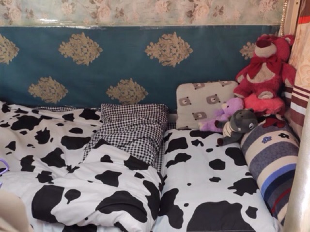 Set Chăn Ga Họa Tiết Bò Sữa Siêu Đáng Yêu [Shinbedding] | BigBuy360 - bigbuy360.vn