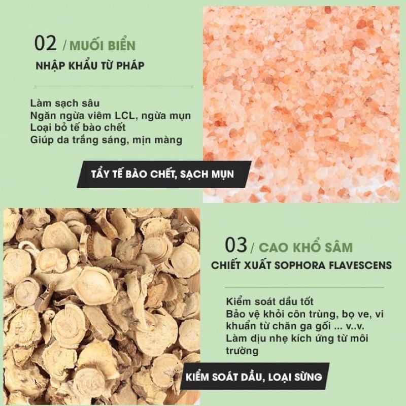 SỮA TẮM / DẦU GỘI FIVE GRAIN loại 1000ml CHÍNH HÃNG TRUNG