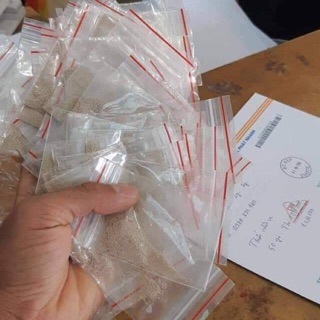 Thuốc diệt ve chó đảm bảo 100% chết ve khi dùng sau 24h