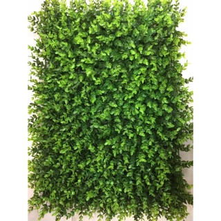 Tấm cỏ tai chuột - kích thước 40x60