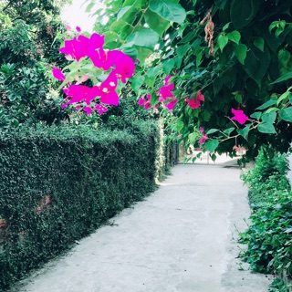 KunKun Hà Nguyễn