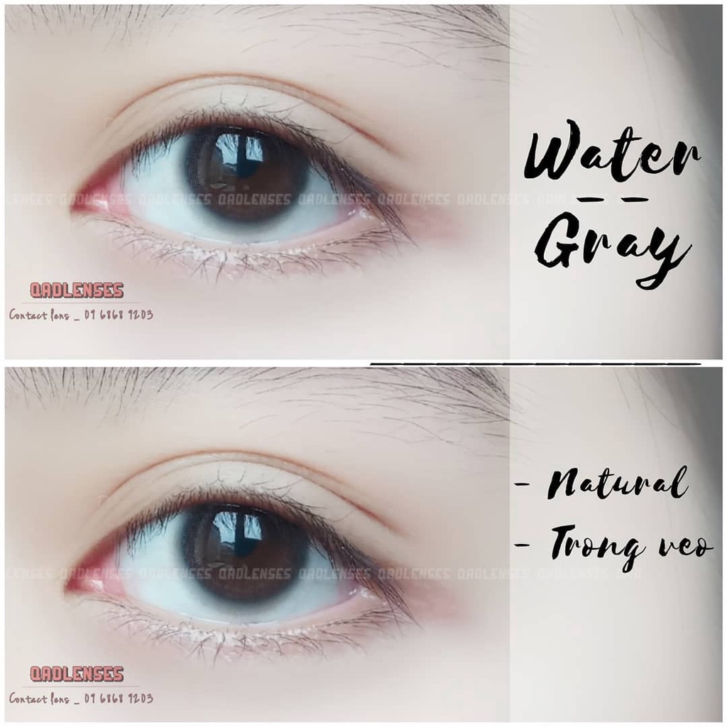 Lens Tự nhiên 0 độ kèm Khay dụng cụ đeo _ Qadlenses - Kính áp tròng dành cho mắt Water Gray