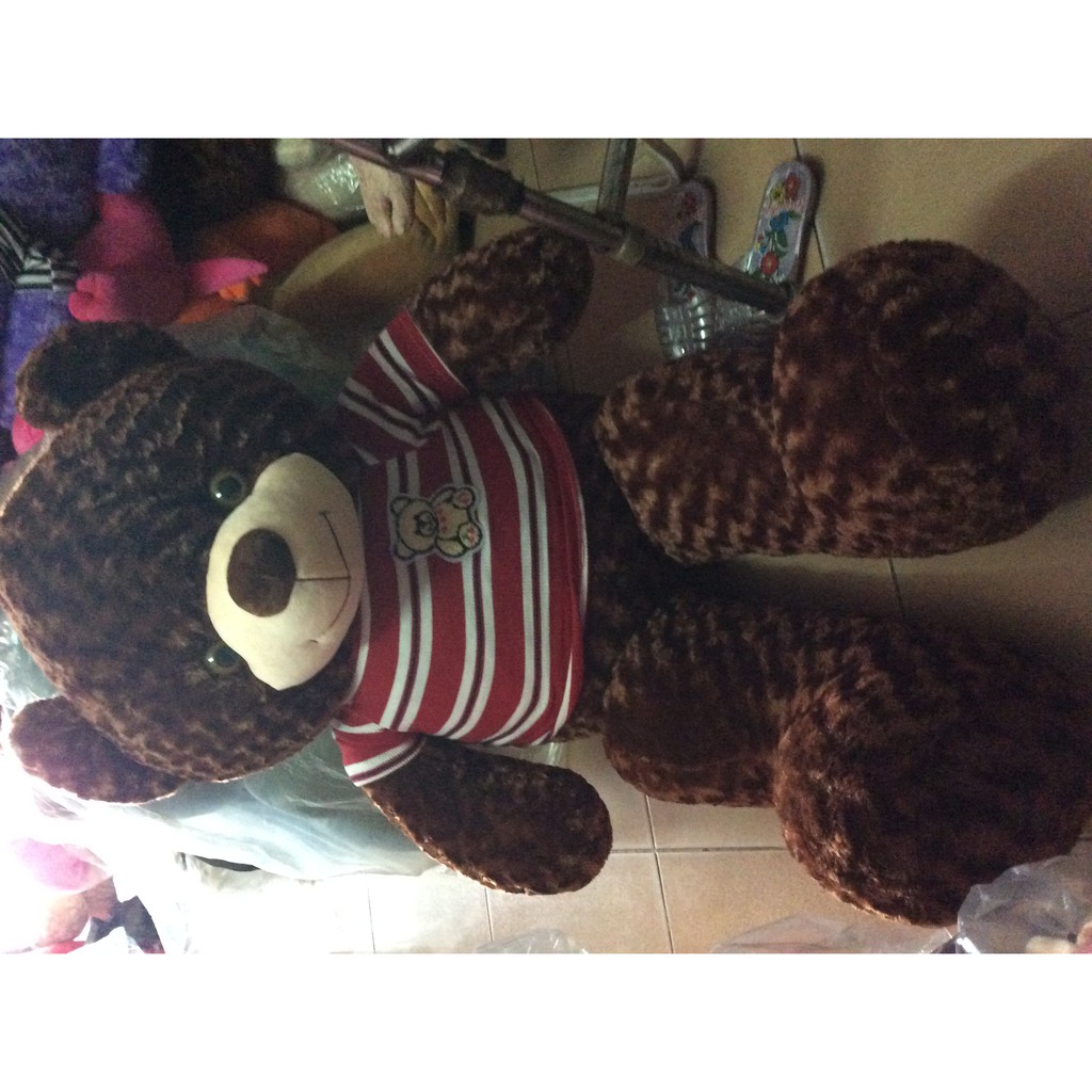 Gấu teddy áo len 1m4