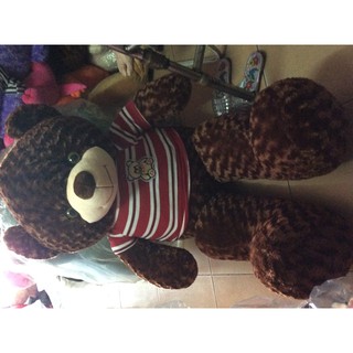 Gấu teddy áo len 1m4