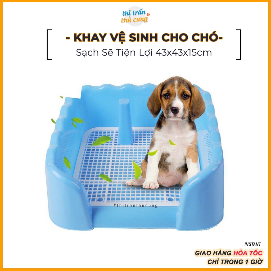 Khay vệ sinh thành cao cho chó 43x43x15cm màu ngẫu nhiên tặng kèm cột, khay hướng dẫn chó đi vệ sinh đúng cách