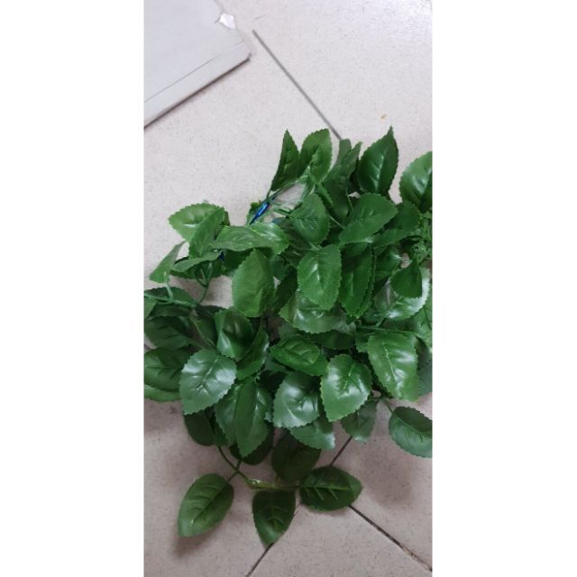20 Lá hoa hồng