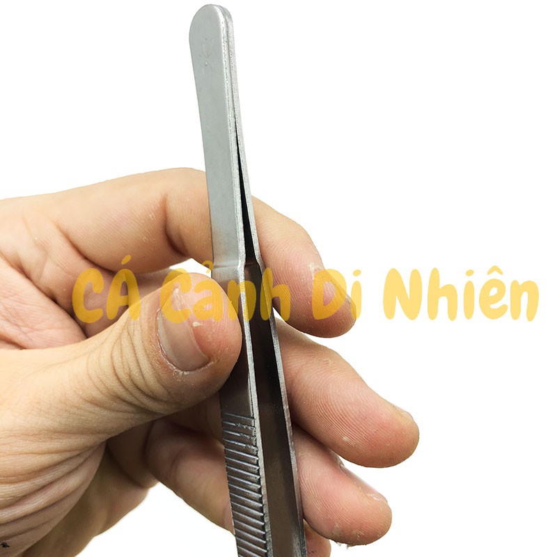 Nhíp mũi THẲNG trồng cây thủy sinh bằng inox SIZE 20 cm