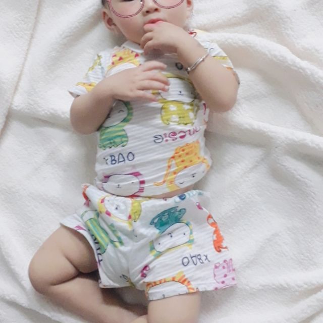 Combo sợi tre