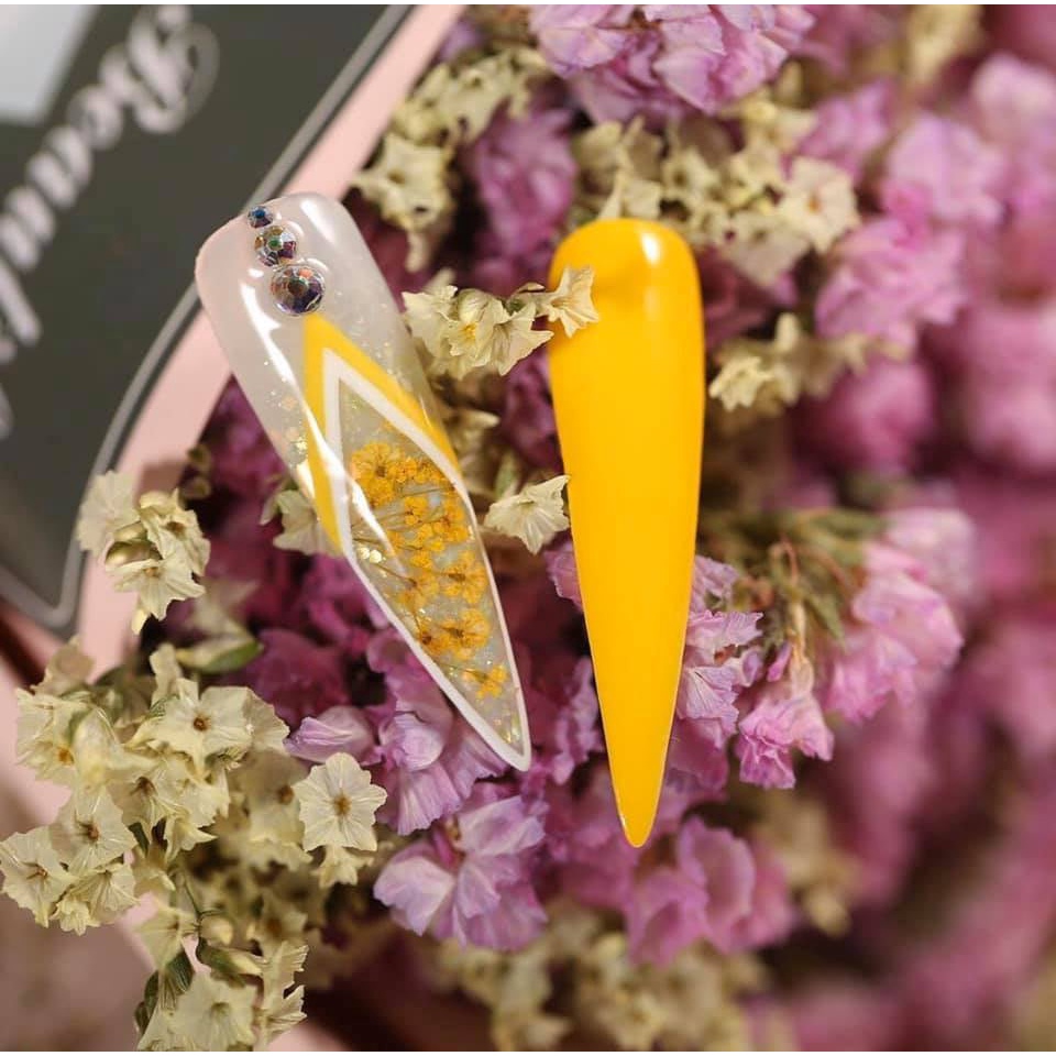 Khay hoa khô làm móng siêu đẹp làm móng