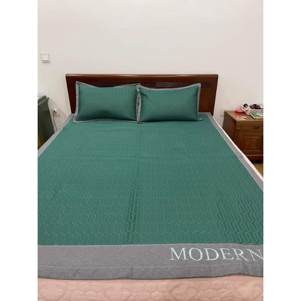 CHIẾU ĐIỀU HÒA TENCEL MODERN CAO SU NON TẶNG KÈM  2 VỎ GỐI