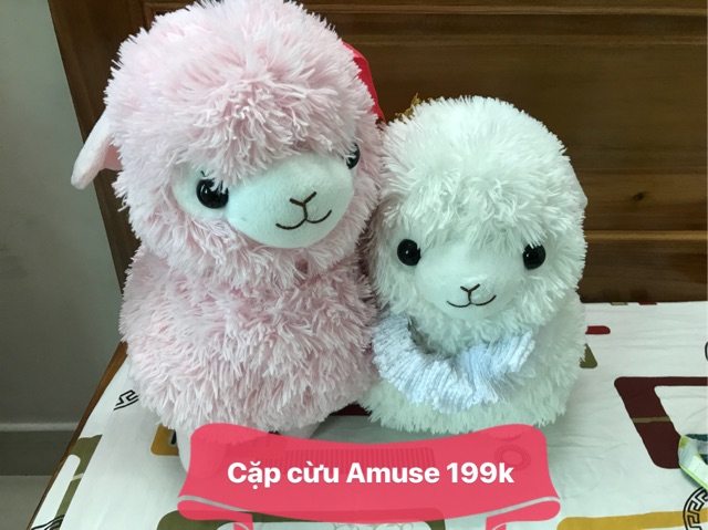CỪU AMUSE ALPACA