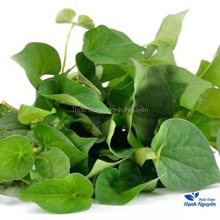 Rau diếp cá 100g, lá diếp cá khô, sạch, pha trà, giúp thanh nhiệt, giải độc, mát gan, tốt cho tiêu hóa