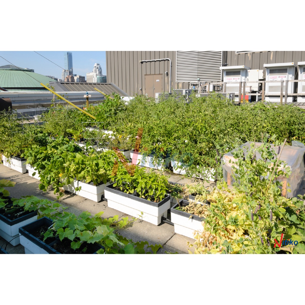 Khay ươm cây 128 lỗ