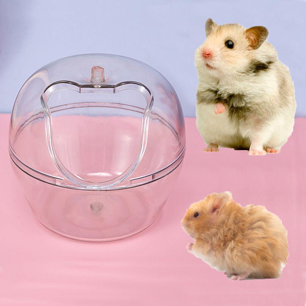 ELLSWORTH Bồn Tắm Nhỏ Trong Suốt Dành Cho Chuột Hamster