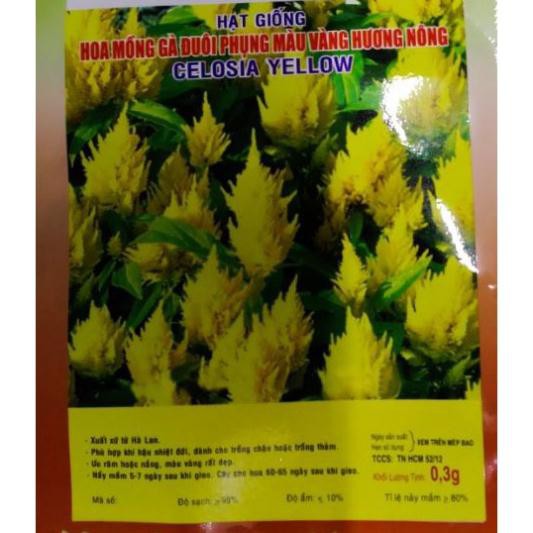 HẠT HOA MỒNG GÀ ĐUÔI PHỤNG VÀNG - GÓI 0,3 GRAM