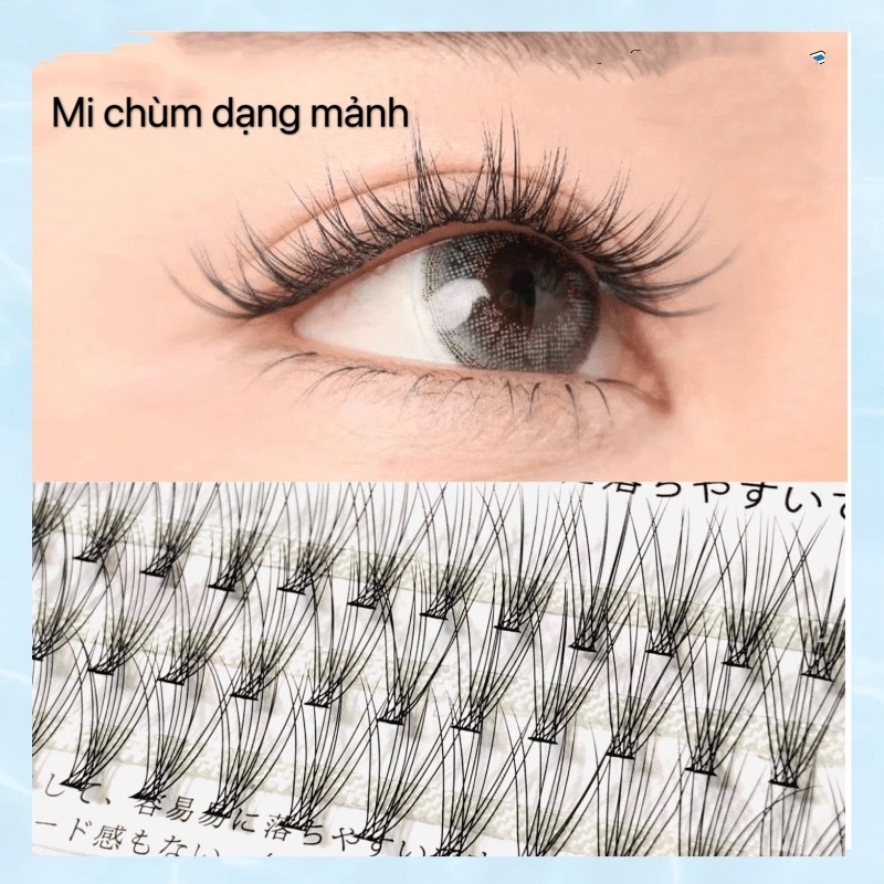 Mi chùm dán từng khóm nhỏ