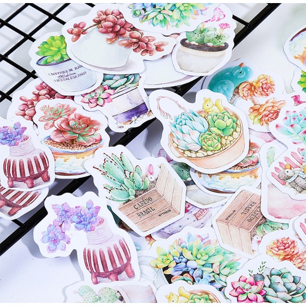 KimiTape Sticker hộp 45 hình dán sen đá trang trí Bullet Journal