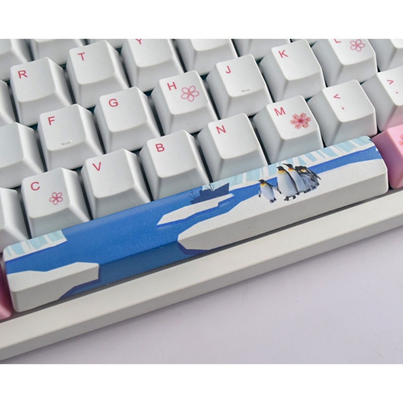 Nút Bàn Phím OEM PBT 6 25U Nhuộm Màu DIY
