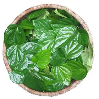 Nước cất trầu không