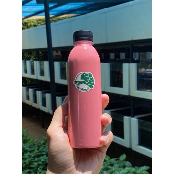 Sơn Chống Thấm Thùng Xốp