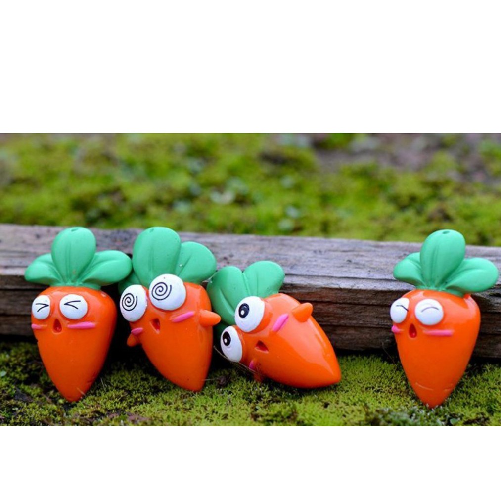 Tiểu cảnh terrarium carot ngộ nghĩnh tiểu cảnh mini trang trí bể cá
