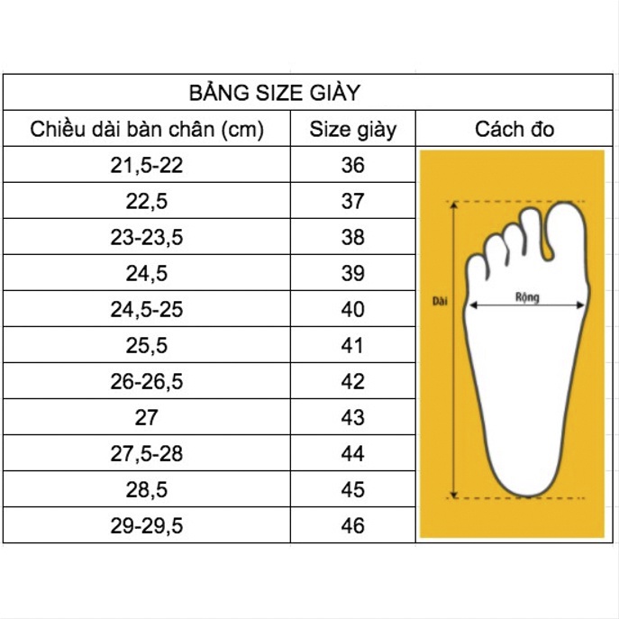 LÓT GIÀY THỂ THAO CAO CẤP - Sản Phẩm Chất Lượng - Êm Chân - Thoáng Khí