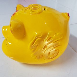 Heo mắt híp tiết kiệm - size Đại