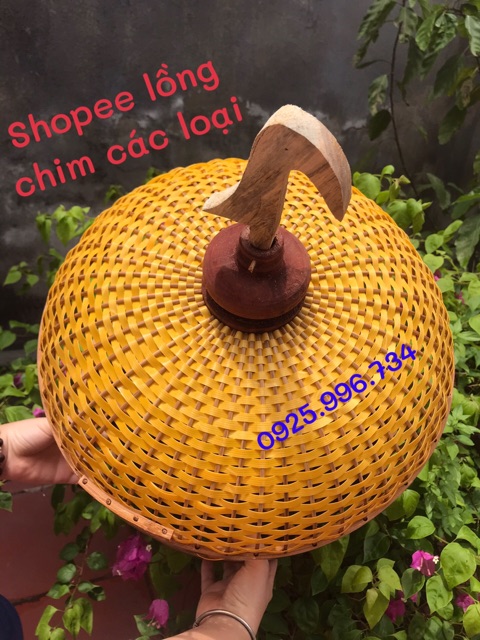 LỒNG CU GÁY ĐAN