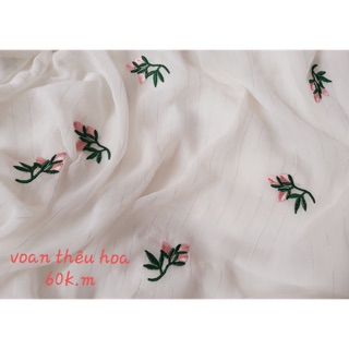 Vải c truyền thy (p)