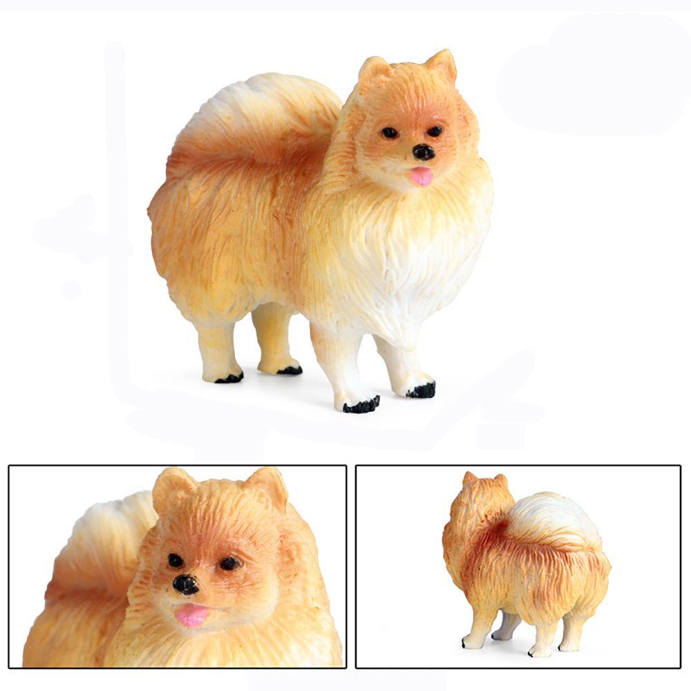 Mô Hình Chó Pomeranian Sống Động Như Thật